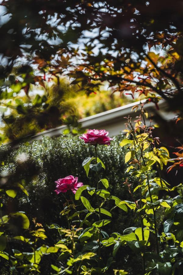Daylesford Spa Accommodation Ngoại thất bức ảnh