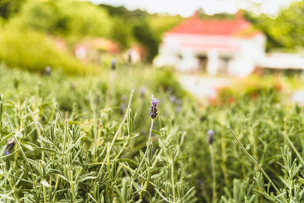 Daylesford Spa Accommodation Ngoại thất bức ảnh